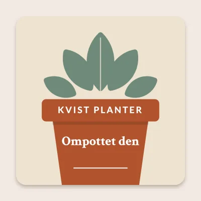 Ompottet i en krukke