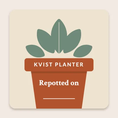 Repotted in a pot