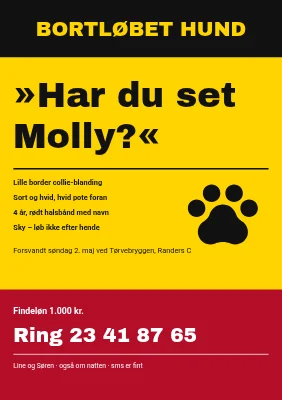Bortløben hund i Randers