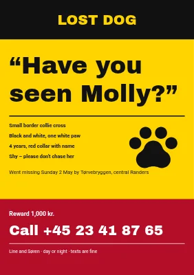 Lost dog in Randers