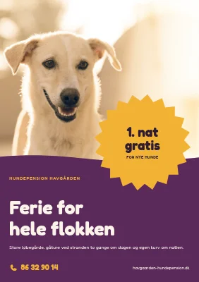 Hundepension ved Grenaa