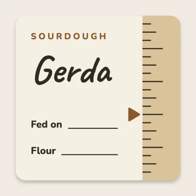 Sourdough jar with a ruler