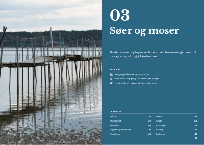 Side 36–37 af Fugleguide for naturcenter – 96 sider