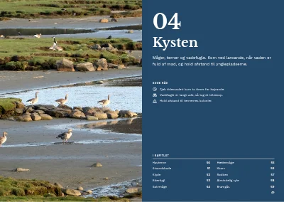 Side 48–49 af Fugleguide for naturcenter – 96 sider