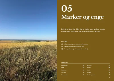 Side 60–61 af Fugleguide for naturcenter – 96 sider