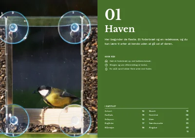 Side 12–13 af Fugleguide for naturcenter – 96 sider