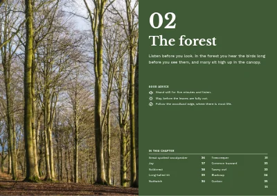 Pages 24–25 of Bird guide for a nature centre – 96 pages