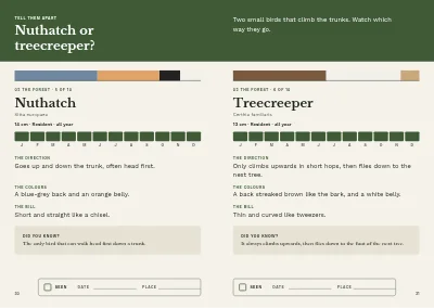 Pages 30–31 of Bird guide for a nature centre – 96 pages