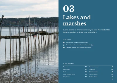 Pages 36–37 of Bird guide for a nature centre – 96 pages