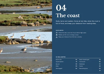 Pages 48–49 of Bird guide for a nature centre – 96 pages