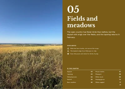 Pages 60–61 of Bird guide for a nature centre – 96 pages