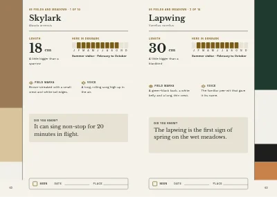 Pages 62–63 of Bird guide for a nature centre – 96 pages