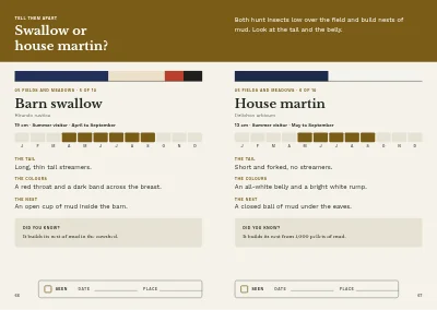 Pages 66–67 of Bird guide for a nature centre – 96 pages