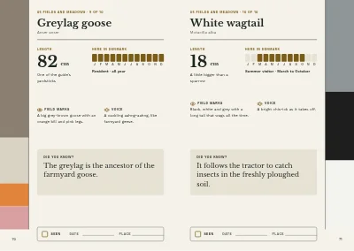 Pages 70–71 of Bird guide for a nature centre – 96 pages