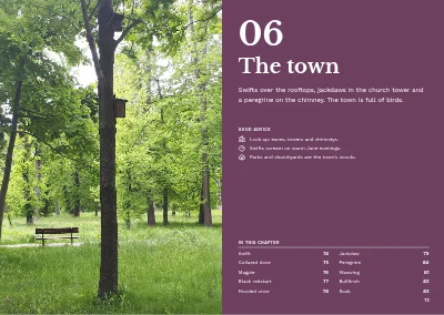 Pages 72–73 of Bird guide for a nature centre – 96 pages
