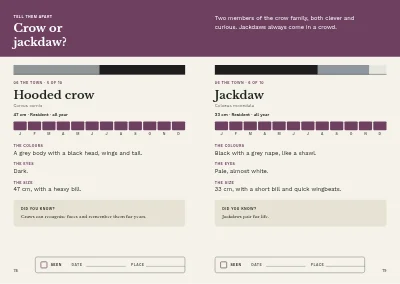 Pages 78–79 of Bird guide for a nature centre – 96 pages
