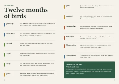 Pages 8–9 of Bird guide for a nature centre – 96 pages