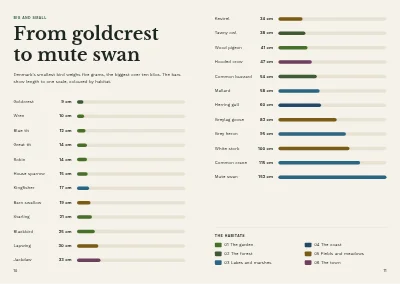 Pages 10–11 of Bird guide for a nature centre – 96 pages