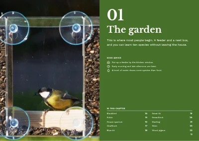 Pages 12–13 of Bird guide for a nature centre – 96 pages