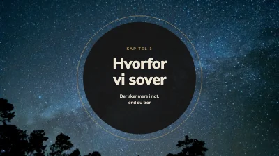 Side 3 af Foredrag om søvn — Sov på det