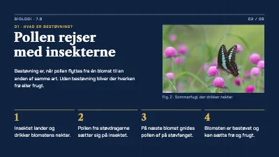 Side 3 af Biologitime — bestøvning