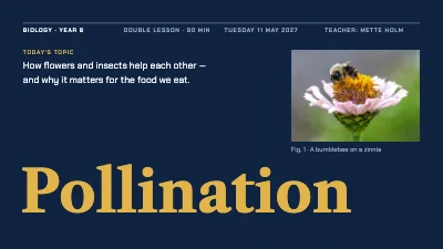 Biology lesson — pollination