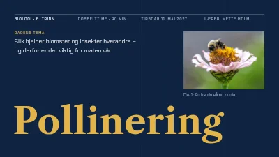 Side 1 av Biologitime — pollinering