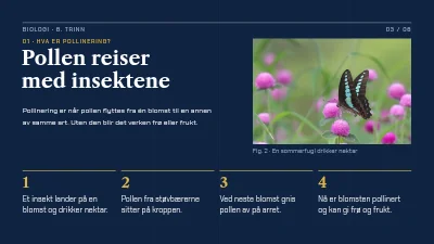 Side 3 av Biologitime — pollinering
