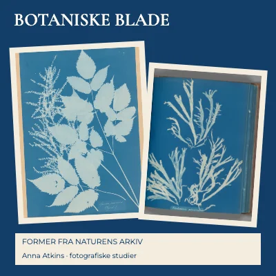Botaniske blade