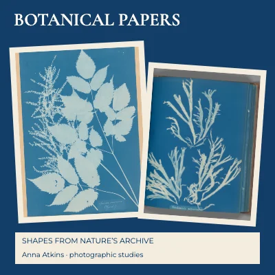 Botanical papers