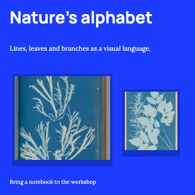 Nature’s alphabet · exhibition wall
