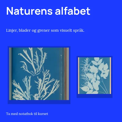 Naturens alfabet · utstillingsvegg