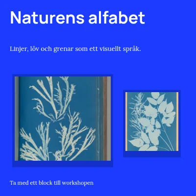 Naturens alfabet · utställningsvägg