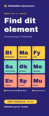 Roll-up til gymnasium — find dit element