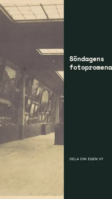 Sida 3 av Staden sedd på nytt · Studieblad