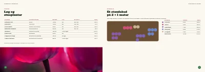 Side 26–27 af Sæsonkatalog for havecenter – 96 sider