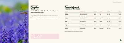 Pages 18–19 of Season catalogue for a garden centre – 96 pages