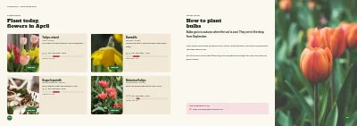 Pages 22–23 of Season catalogue for a garden centre – 96 pages