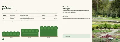 Pages 46–47 of Season catalogue for a garden centre – 96 pages