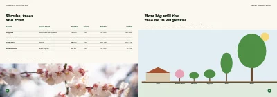 Pages 50–51 of Season catalogue for a garden centre – 96 pages