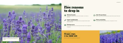 Pages 4–5 of Season catalogue for a garden centre – 96 pages