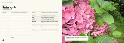 Pages 86–87 of Season catalogue for a garden centre – 96 pages