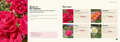 Pages 10–11 of Season catalogue for a garden centre – 96 pages