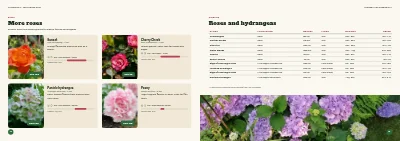 Pages 12–13 of Season catalogue for a garden centre – 96 pages