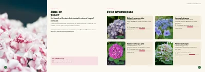 Pages 14–15 of Season catalogue for a garden centre – 96 pages