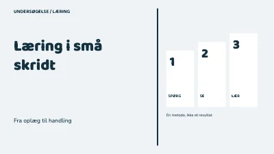 Side 1 af Læring i små skridt