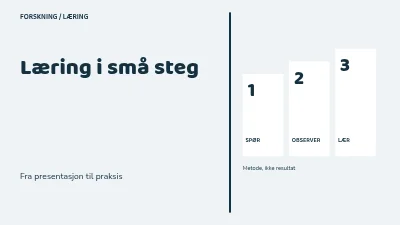 Læring i små steg