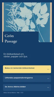 Green Passage — Botanisk bildverkstad