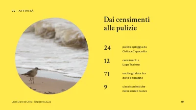 Pagina 4 di Relazione annuale — gruppo natura del Mare dei Wadden