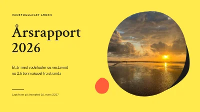 Årsrapport — naturgruppen for Vadehavet
